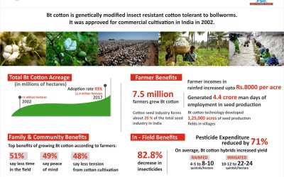 BT Cotton Benefits