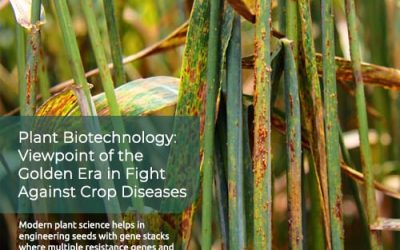 Plant breeding to protect plants from disease and pests through Biotechnology #IYPH2020