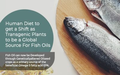 Scientists creates Omega-3 Fish Oil from Genetically Modified Plants