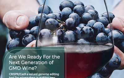Through Gene-Editing wine makers are developing quality wines by decreasing pesticide usage, disease-resistant grape varieties and are less likely to give you a hangover
