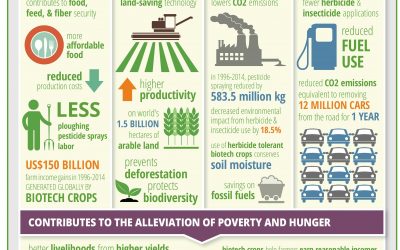 Contribution of Biotech Crops to Sustainability