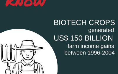 Apart from food security, a very important contribution of biotech crops has been to farmer income.
