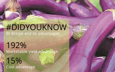BtBrinjal can change the face of agriculture in developing countries like Phillippines and India because of its huge economic advantage.