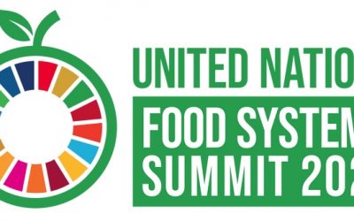 United Nations Food Safety Summit 2021 – An opportunity to Help India in adopting innovations to strengthen the Food supply chain