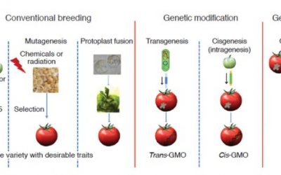 Deregulation and Harmonization of Genome-Edited Crops in India