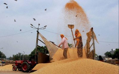 Enhancing India’s Post-harvest Supply Chain Infrastructure Can Help Minimize Food loss in India