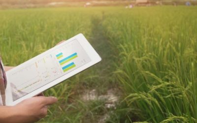 The Need for and Importance of Data in Agriculture