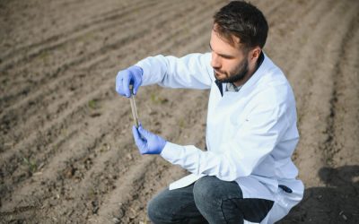 Gene Editing for Soil Health