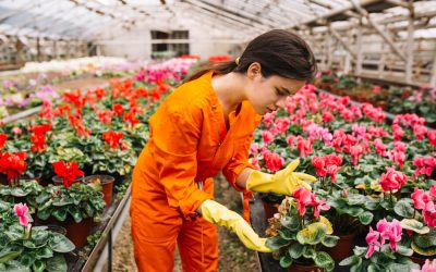 Potential of Floriculture in India